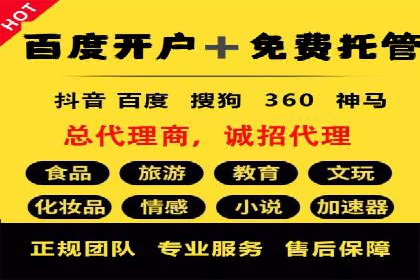 某公司SEO与SEM整合营销的全程记录